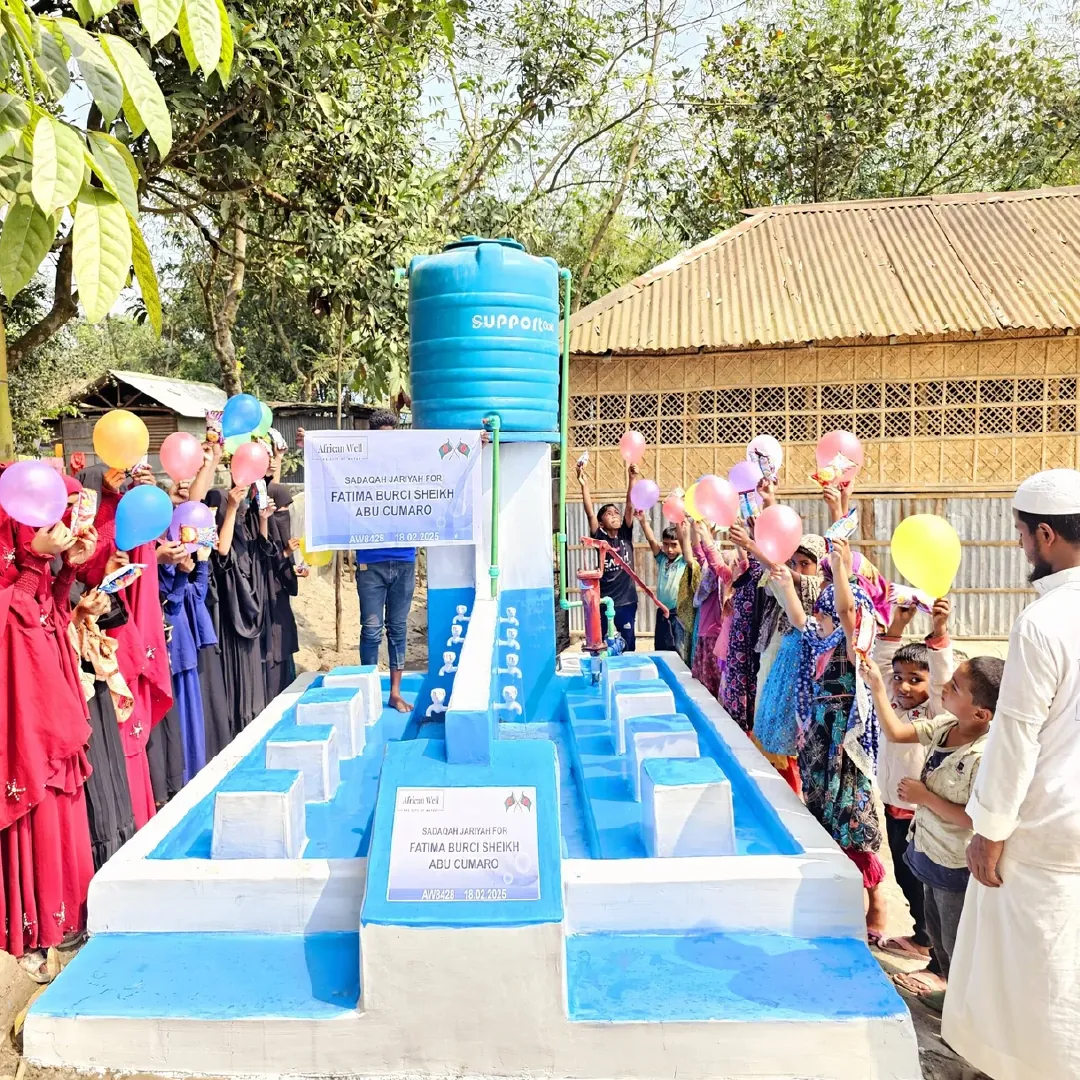 Hand pump well in Bangladesh