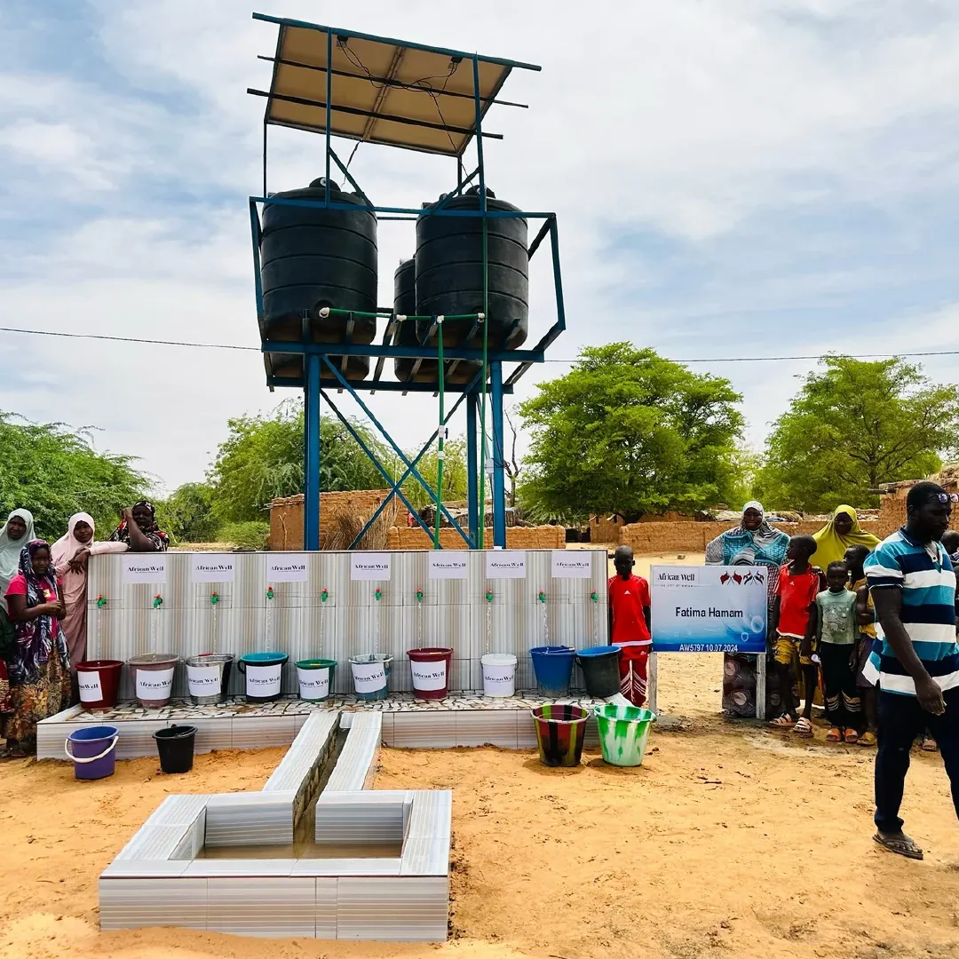 Village solar well in Niger