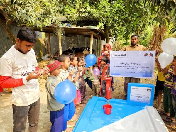 Water Well With Handpump - Image 10