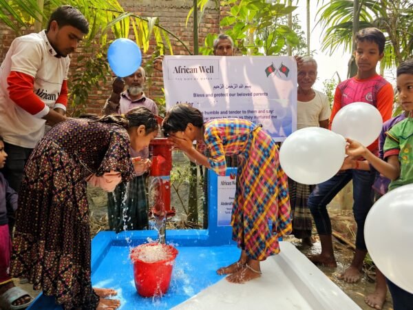 Water Well With Handpump - Image 12