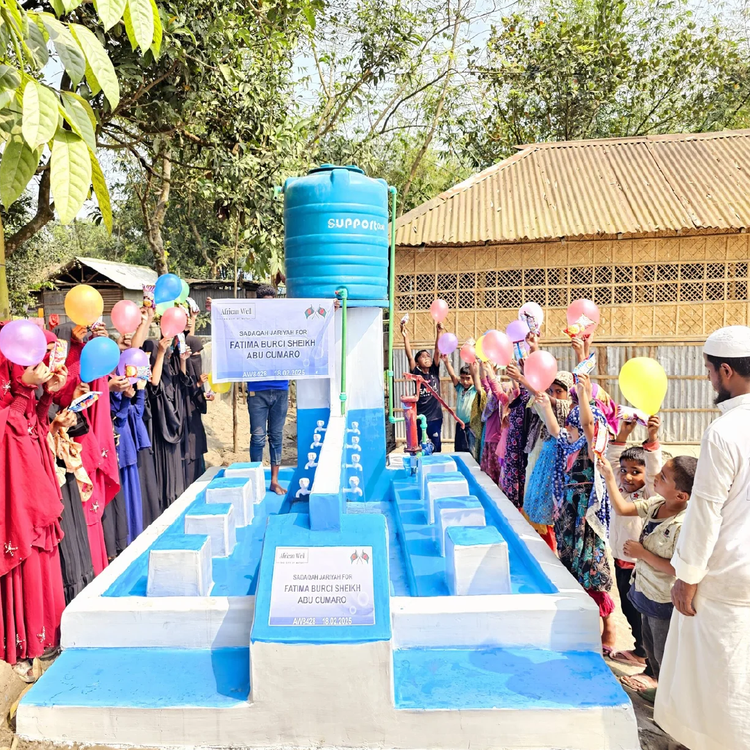 Water Well With Electric Pump + Tank For A Mosque/School